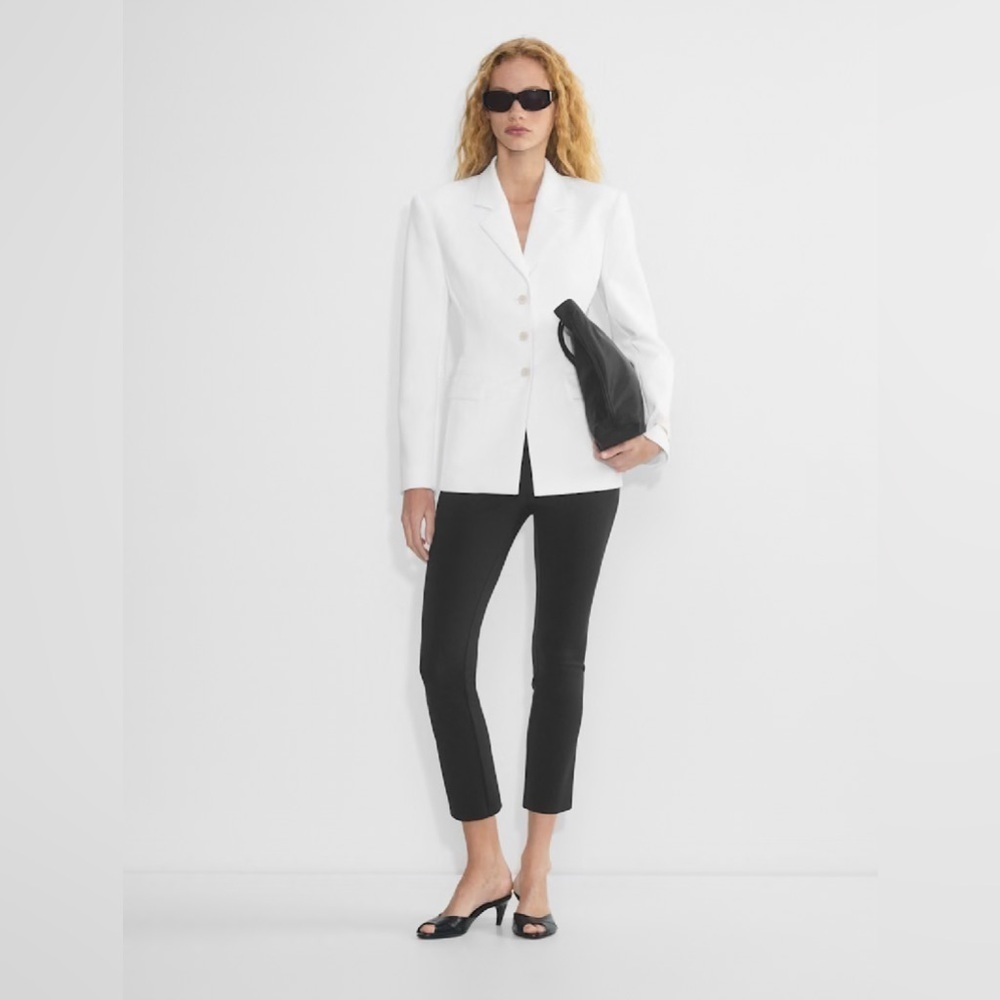 Aritzia Babaton Standout Blazer